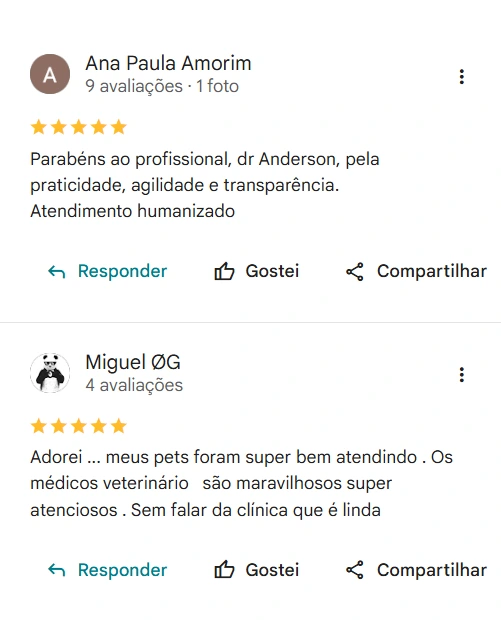 Avaliação real de tutor sobre a Clínica Veterinária Palmeiras