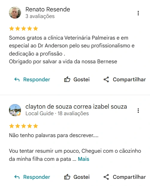 Avaliação real de tutor sobre a Clínica Veterinária Palmeiras