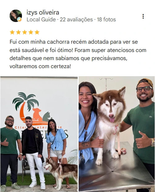 Avaliação real de tutor sobre a Clínica Veterinária Palmeiras